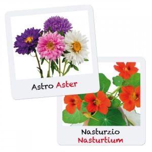 Jucarii educationale - Set creativ pentru copii Gioca Green plantare si crestere Flori Quercetti