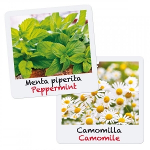 Jucarii educationale - Set creativ pentru copii Gioca Green plantare si crestere Menta si Musetel Quercetti