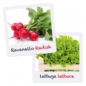 Jucarii educationale - Set creativ pentru copii Gioca Green plantare si crestere Salata Ridiche Quercetti